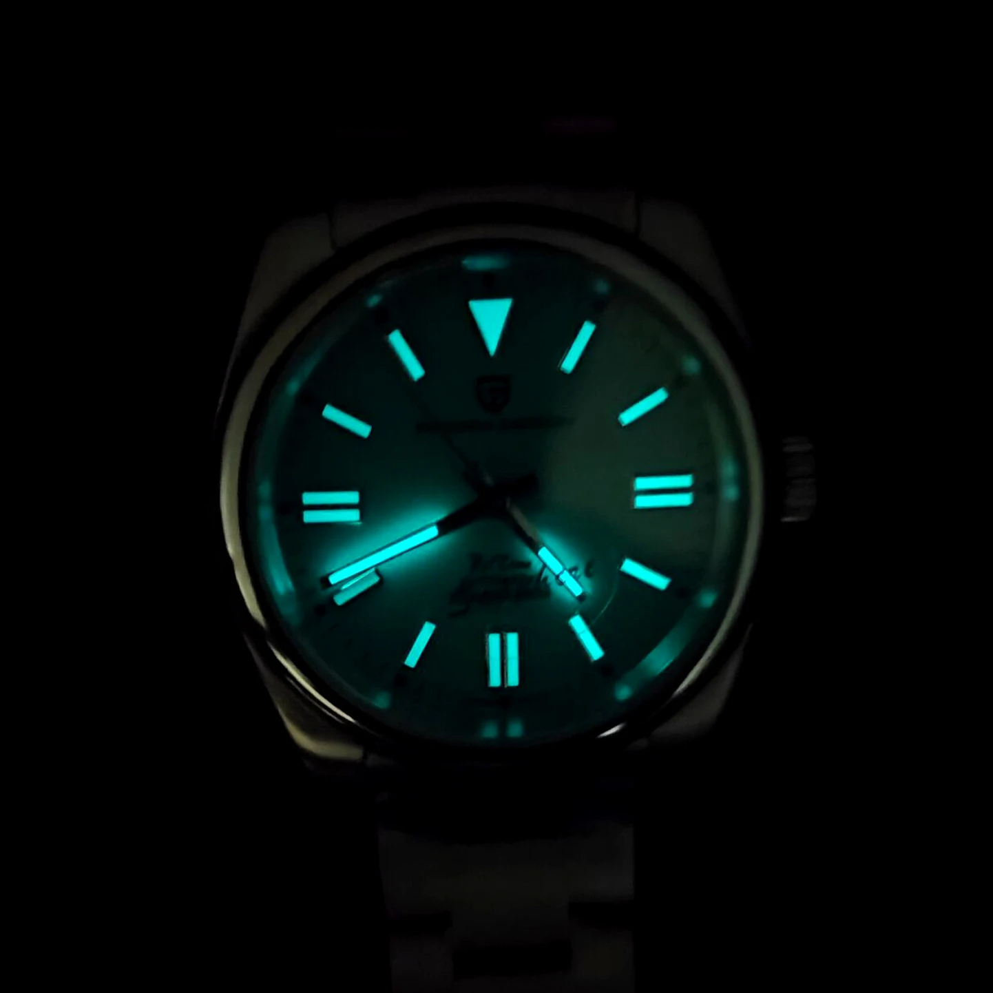 PAGANI DESIGN Luxe klassieke m - Seiko Watch Prospex recensie en prijs